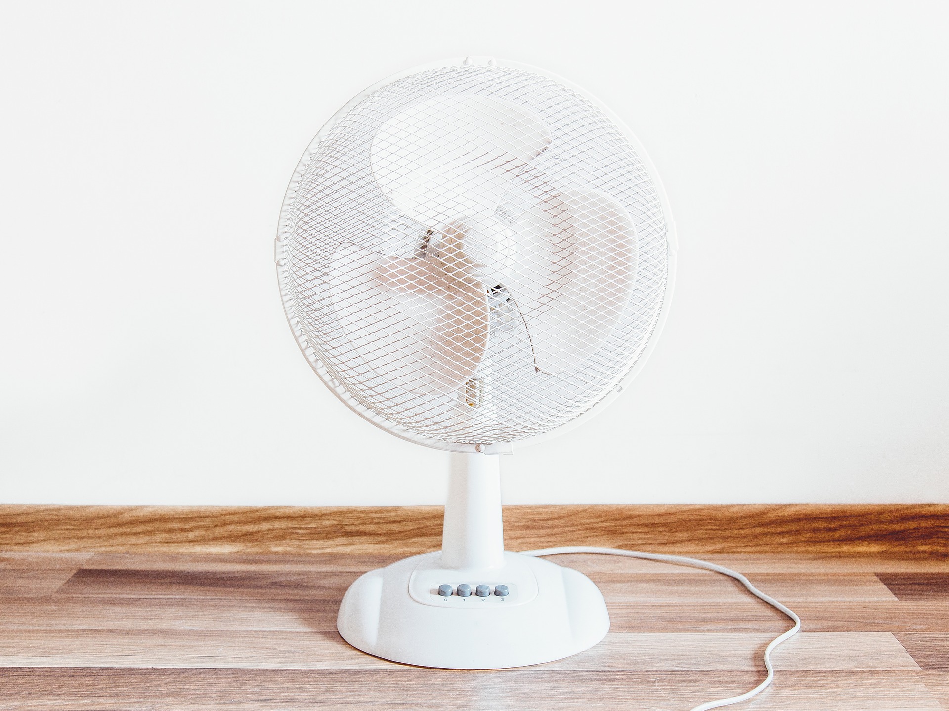 Un clásico del verano. El ventilador