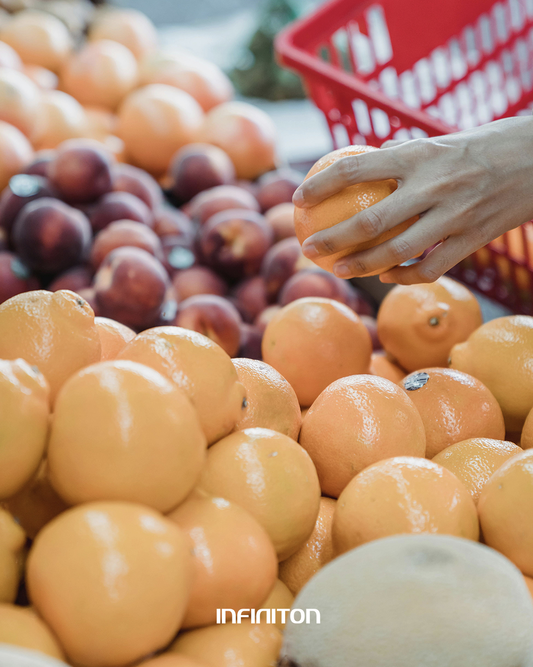 Cuando llegas con la compra (el frigorífico debería estar de tu parte)